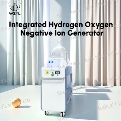 Good price 7L/menit Klinik Ion Negatif Hidrogen Oksigen Inhaler 1000W Meningkatkan Peredaran Darah on line