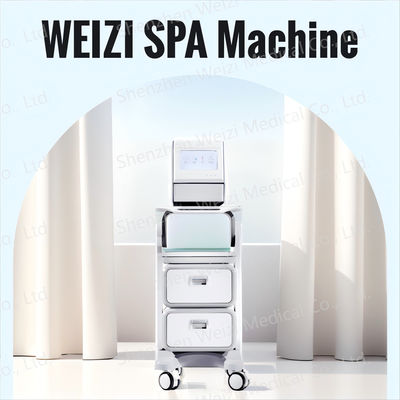 Harga yang bagus Mesin SPA Air Alkali Hidrogen Dengan Teknologi Ion Negatif Penghilang jerawat on line