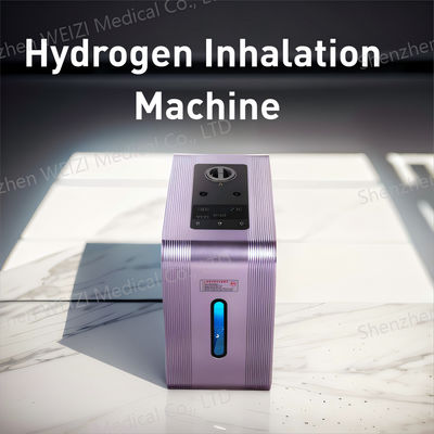 Harga yang bagus Mesin Inhalasi Gas Hidrogen Susupan Ganda Inhaler Hidrogen 450W on line