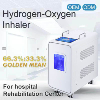Harga yang bagus 110v 220v Rumah PEM Hidrogen Inhalation Therapy Mesin 3000ml on line