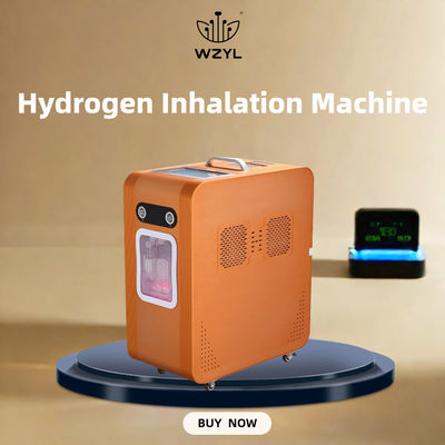 Harga yang bagus AC220V Hydrogen Oxygen Inhaler Hydrogen Inhaling Machine 3000ml/M on line