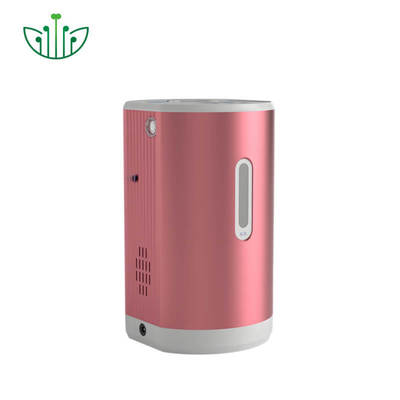 Good price Inhaler Hidrogen Portable dengan 99,9% Hidrogen Murni 150ml/menit Output dan 75ml/menit Oksigen untuk Terapi on line